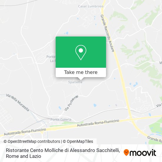 Ristorante Cento Molliche di Alessandro Sacchitelli map