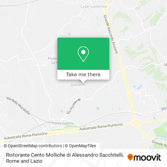 Ristorante Cento Molliche di Alessandro Sacchitelli map