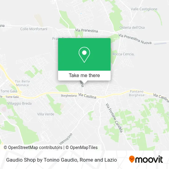 Gaudio Shop by Tonino Gaudio map