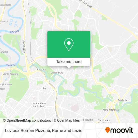 Leviosa Roman Pizzeria map