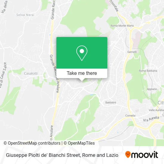 Giuseppe Piolti de' Bianchi Street map