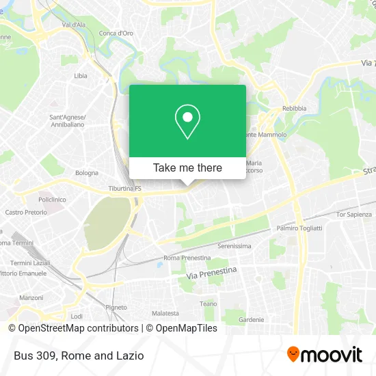 Bus 309 map