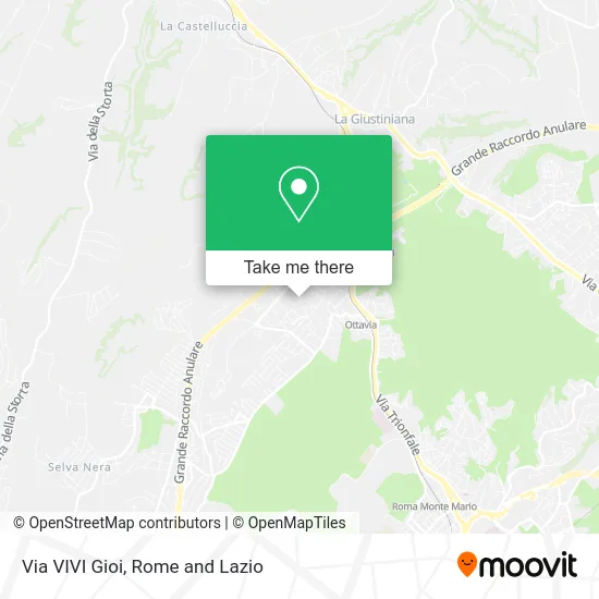 VIVI Gioi Street map