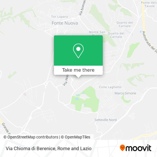 Via Chioma di Berenice map