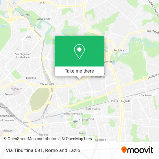 Tiburtina Street 691 map