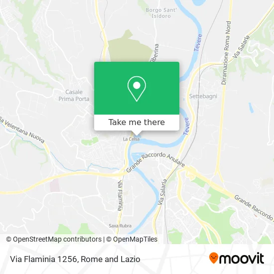 Flaminia Street 1256 map