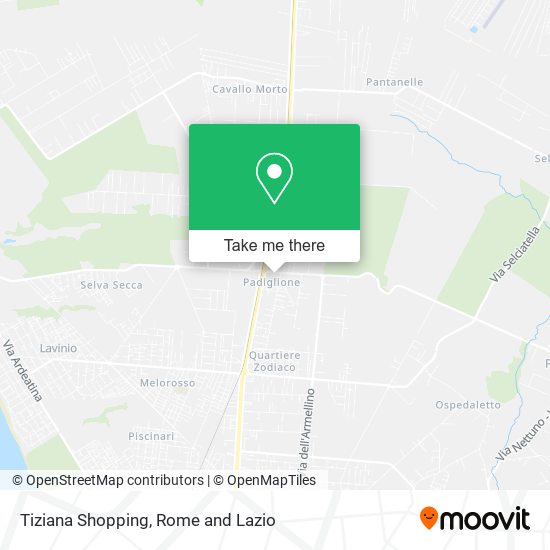 Tiziana Shopping map