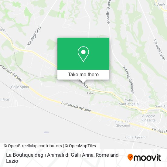 La Boutique degli Animali di Galli Anna map