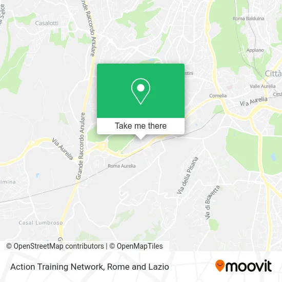 Action Training Network map