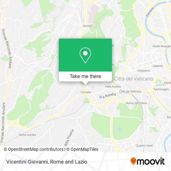 Vicentini Giovanni map