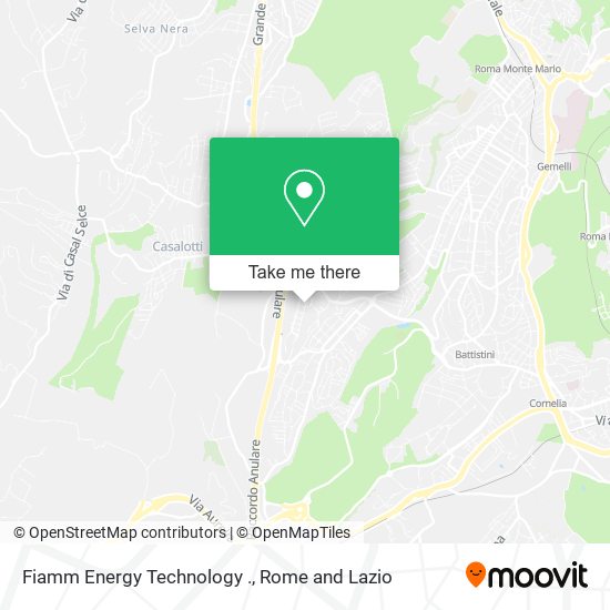 Fiamm Energy Technology . map