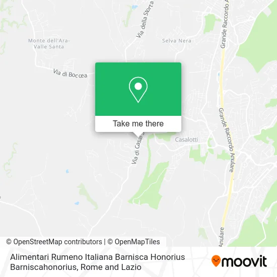 Romanian Italian Grocery by Barnisca Honorius Barniscahonorius map