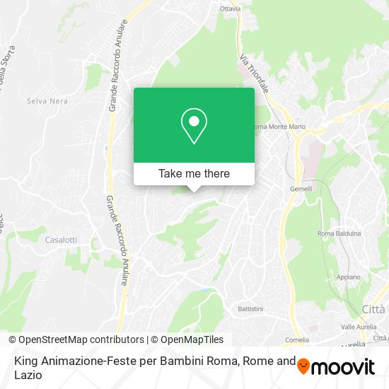 King Animazione-Feste per Bambini Roma map