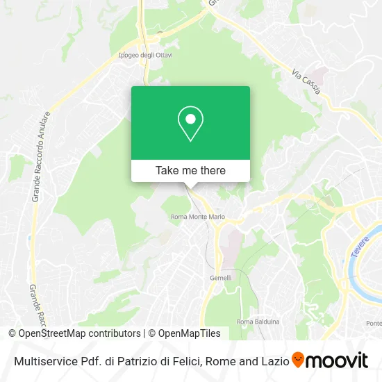 Multiservice Pdf by Patrizio di Felici map