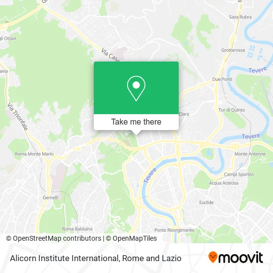 Alicorn International Institute map