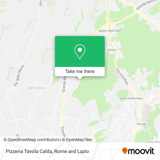 Pizzeria Tavola Calda map