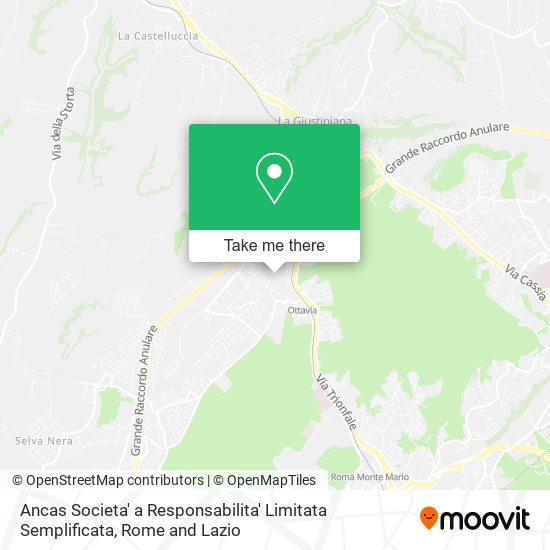 Ancas Societa' a Responsabilita' Limitata Semplificata map