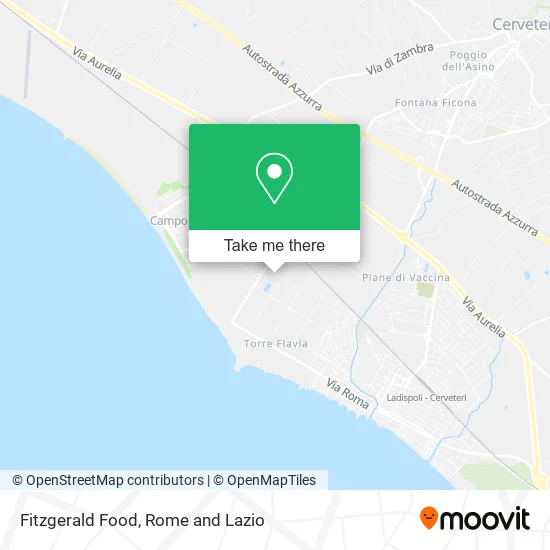 Fitzgerald Food map