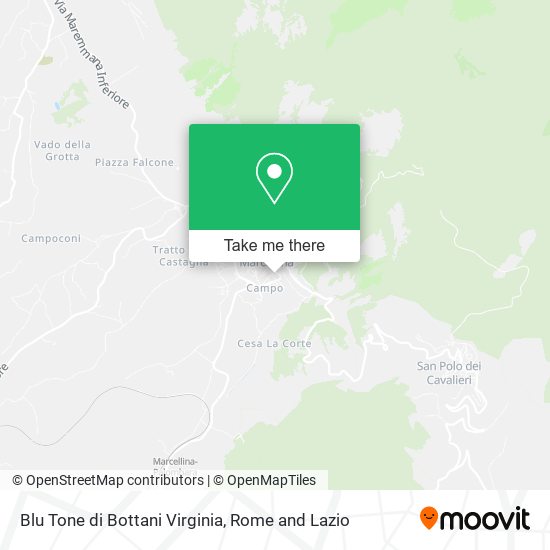 Blu Tone di Bottani Virginia map