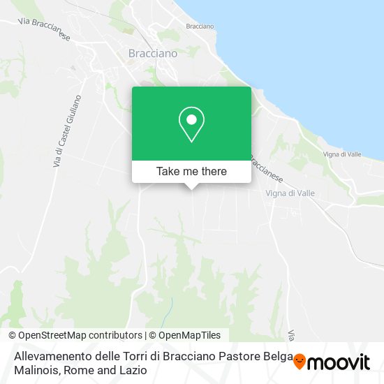 Allevamenento delle Torri di Bracciano Pastore Belga Malinois map