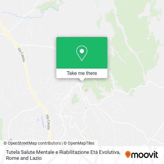 Tutela Salute Mentale e Riabilitazione Età Evolutiva map