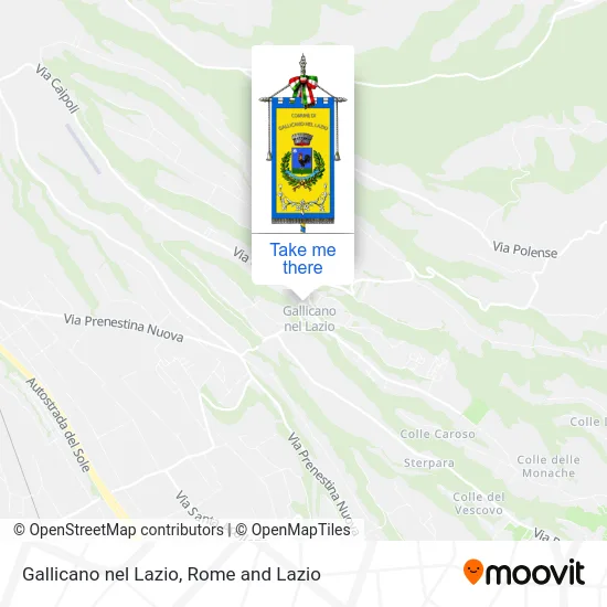 Gallicano nel Lazio map