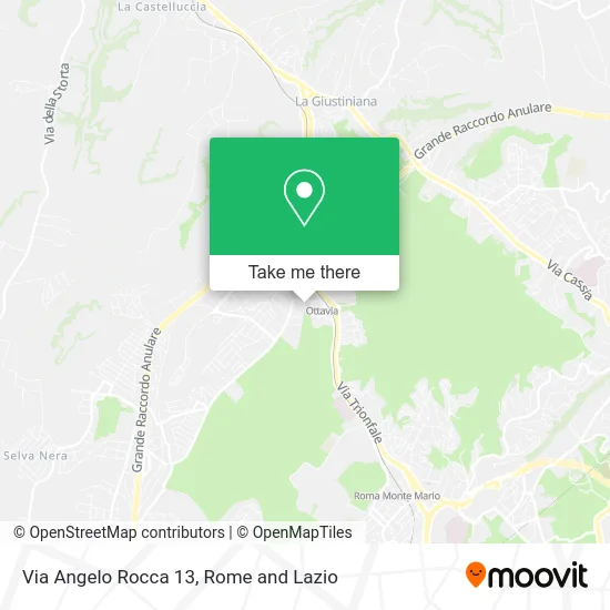 Via Angelo Rocca  13 map