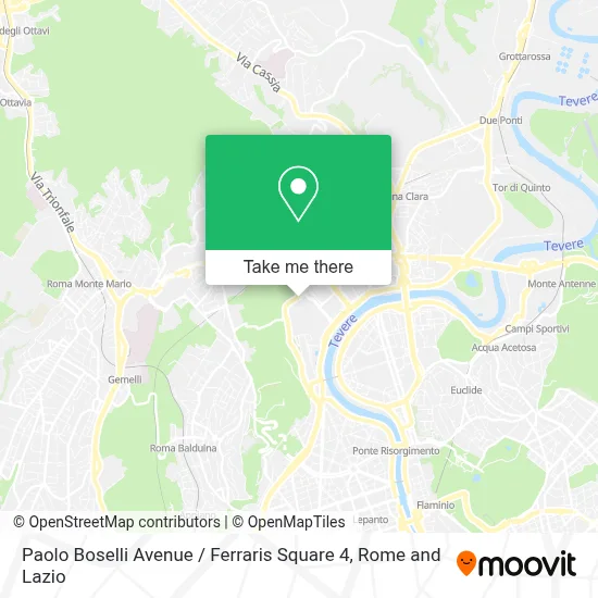 Paolo Boselli Avenue / Ferraris Square 4 map