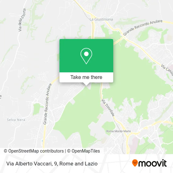 Alberto Vaccari Street, 9 map