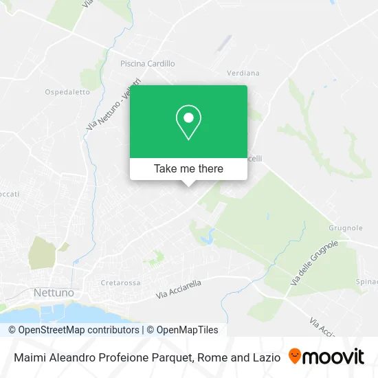 Maimi Aleandro Parquet Profession map