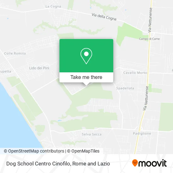 Dog School Canine Center map