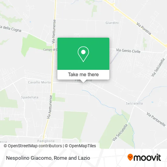 Giacomo Nespolino map