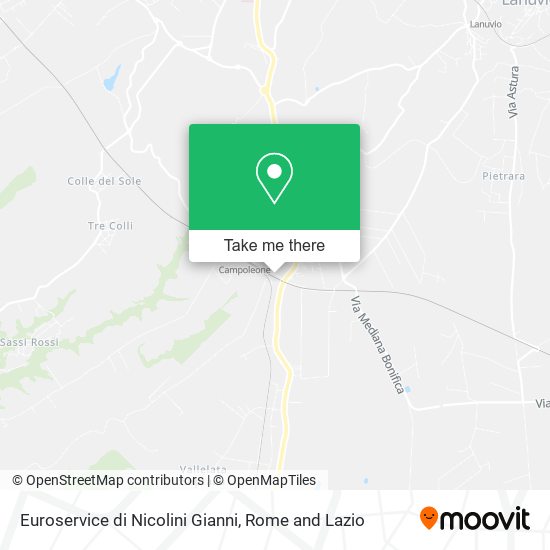 Euroservice di Nicolini Gianni map