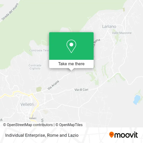 Individual Enterprise map