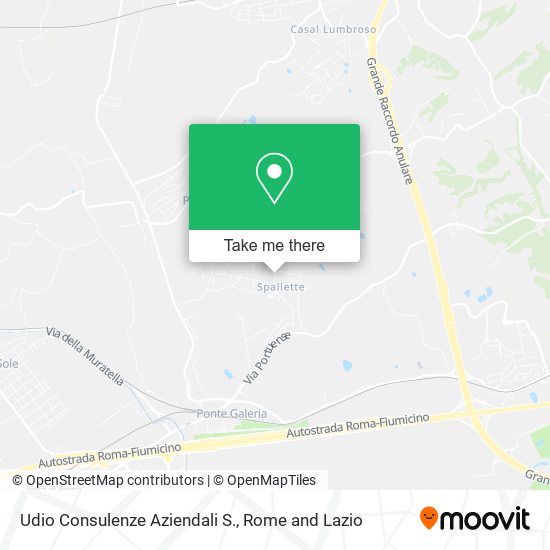 Udio Consulenze Aziendali S. map