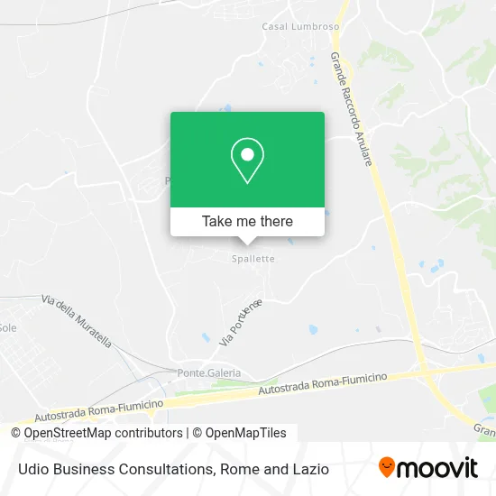 Udio Business Consultations map