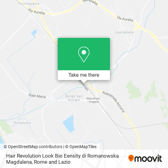 Hair Revolution Look Bio Eensity by Romanowska Magdalena map