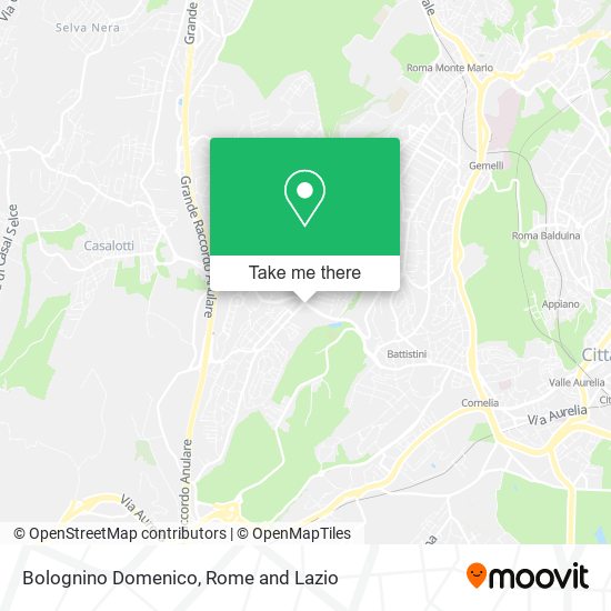 Bolognino Domenico map