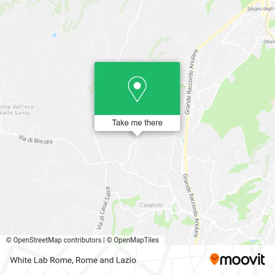 White Lab Rome map