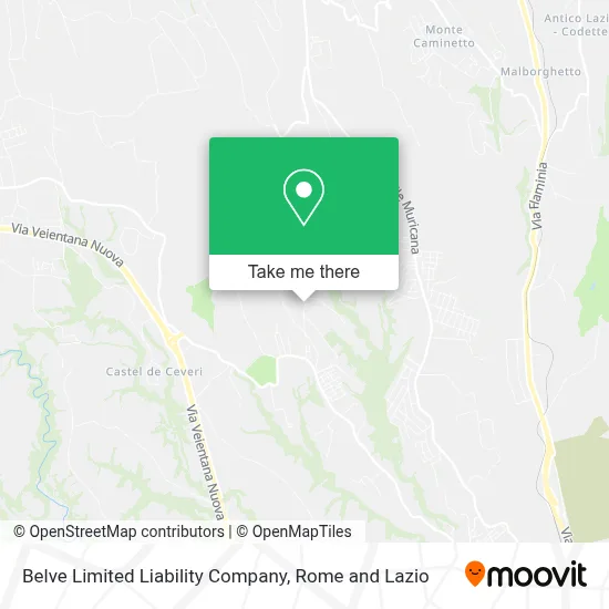 Belve Limited Liability Company map