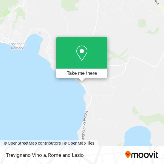 Trevignano Wine map