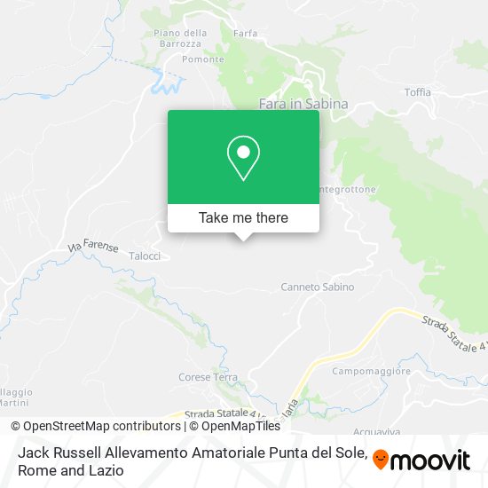 Jack Russell Allevamento Amatoriale Punta del Sole map