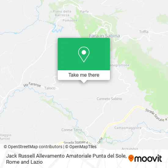 Jack Russell Breeding Punta del Sole map
