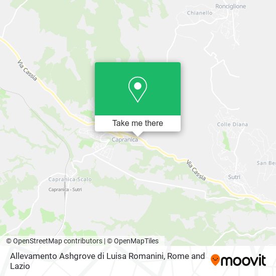 Allevamento Ashgrove di Luisa Romanini map