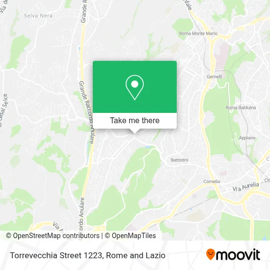 Torrevecchia Street 1223 map