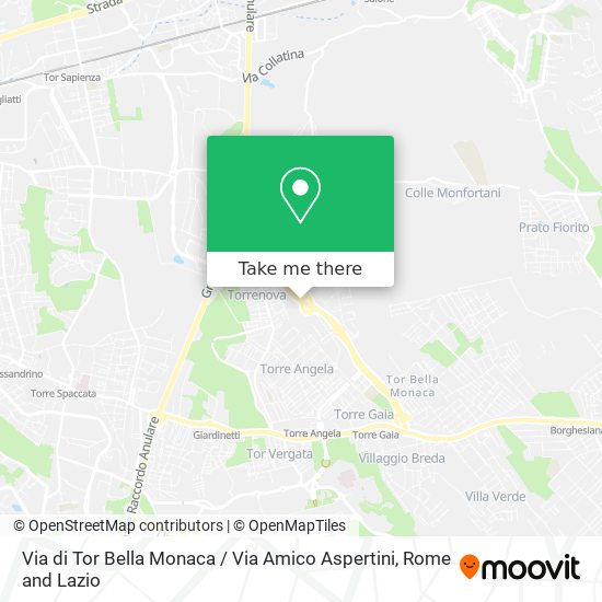 Via di Tor Bella Monaca / Via Amico Aspertini map