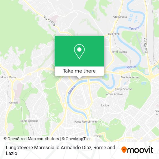 Lungotevere Maresciallo Armando Diaz map