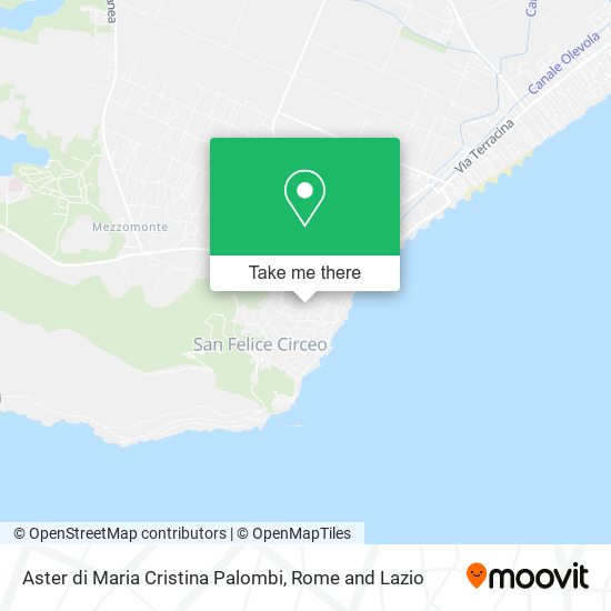 Aster di Maria Cristina Palombi map