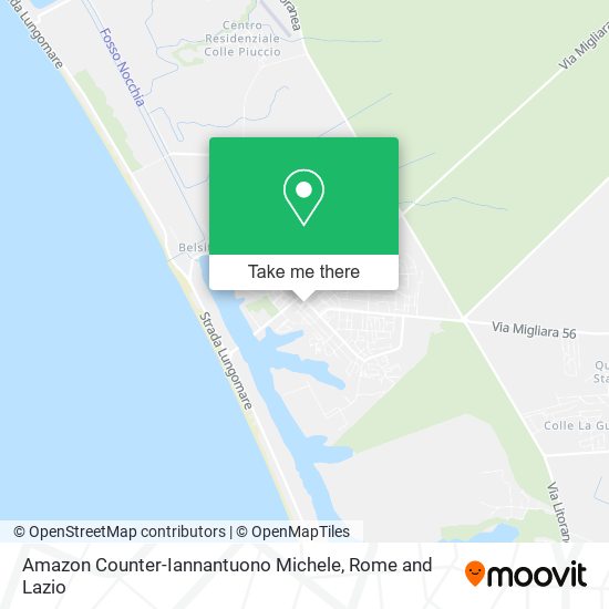Amazon Counter-Iannantuono Michele map