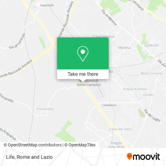 Life map